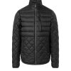 Men MOOSE KNUCKLES | Logo-Patch Padded Jacket Boynton